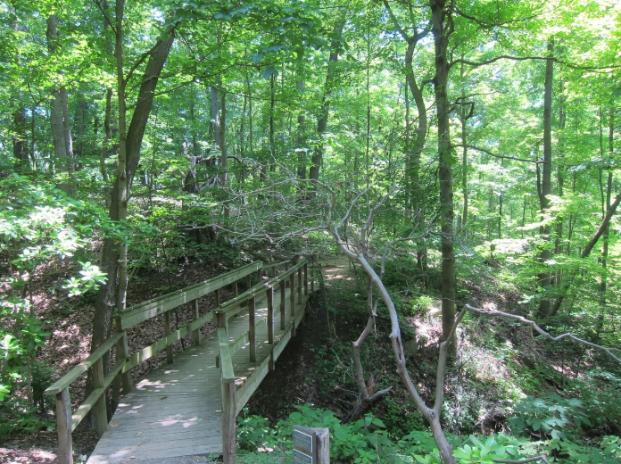 Core Arboretum, United States